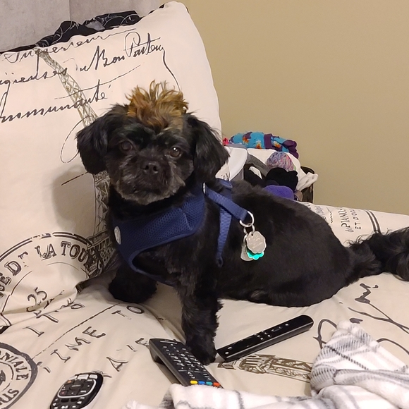 Meet your Posher, Ruth - Picture 2 of 3